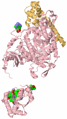 Image Biological Unit 1