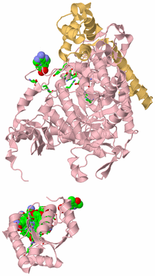 Image Biol. Unit 1 - sites