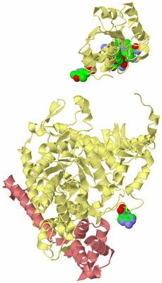 Image Biological Unit 2