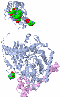 Image Biological Unit 3