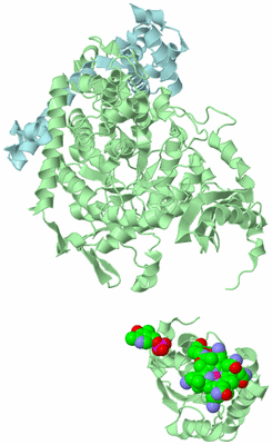 Image Biological Unit 4