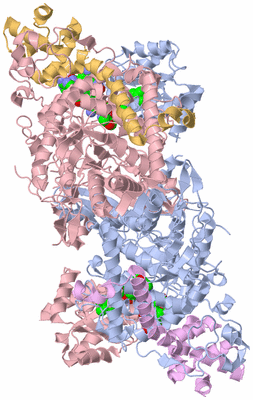 Image Biological Unit 5