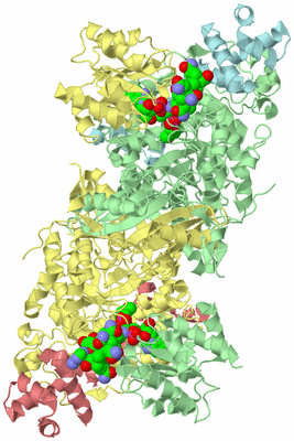 Image Biological Unit 6