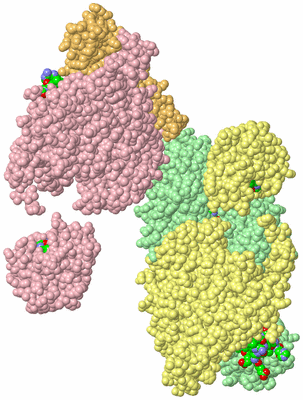 Image Biol. Unit 1 - sites