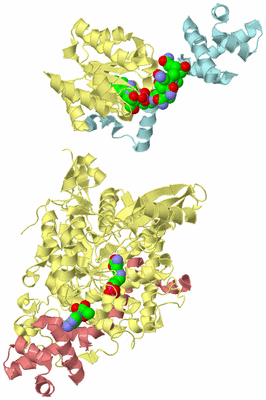 Image Biological Unit 2