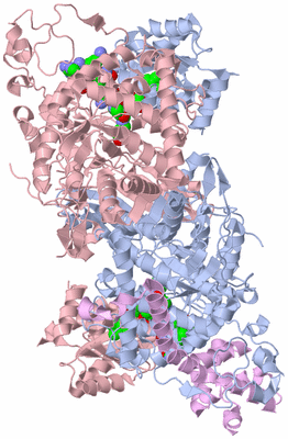 Image Biological Unit 3