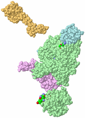 Image Biological Unit 4