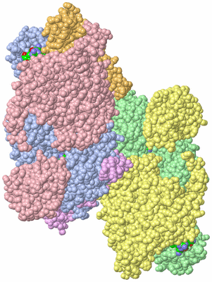 Image Biological Unit 5