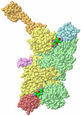 Image Biological Unit 6