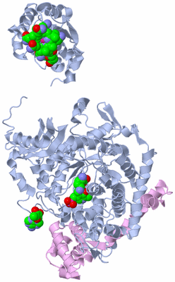 Image Biological Unit 1