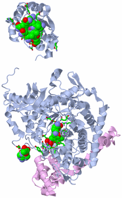 Image Biol. Unit 1 - sites