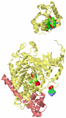 Image Biological Unit 2