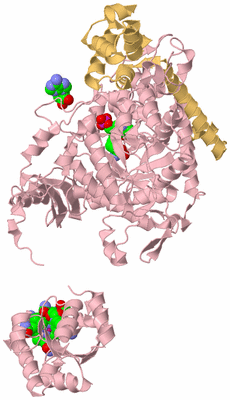 Image Biological Unit 3