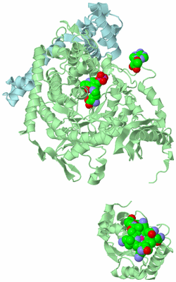 Image Biological Unit 4