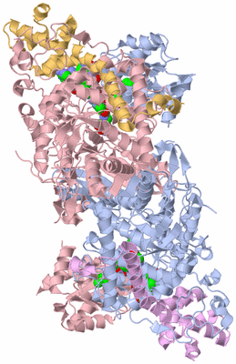 Image Biological Unit 5