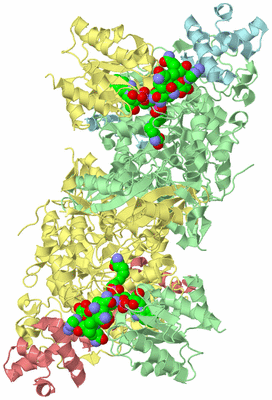 Image Biological Unit 6