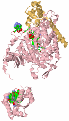 Image Biol. Unit 1 - sites