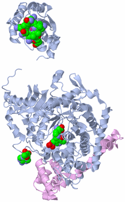 Image Biological Unit 2