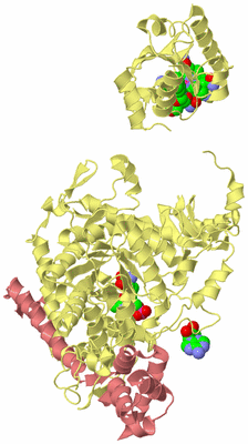 Image Biological Unit 3