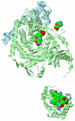 Image Biological Unit 4