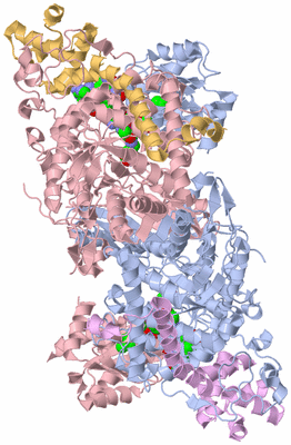 Image Biological Unit 5