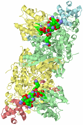 Image Biological Unit 6