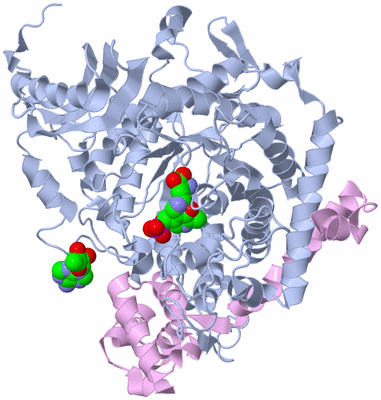 Image Biological Unit 1