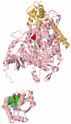 Image Biological Unit 2