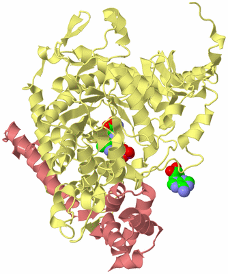 Image Biological Unit 3