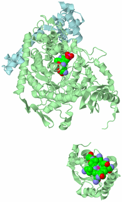 Image Biological Unit 4