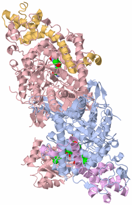 Image Biological Unit 5