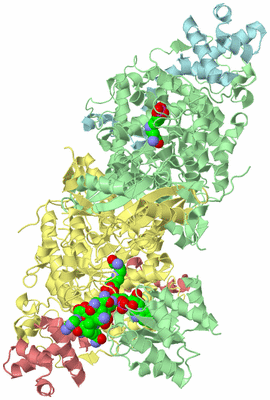 Image Biological Unit 6