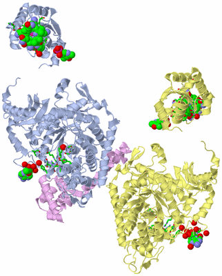 Image Biol. Unit 1 - sites