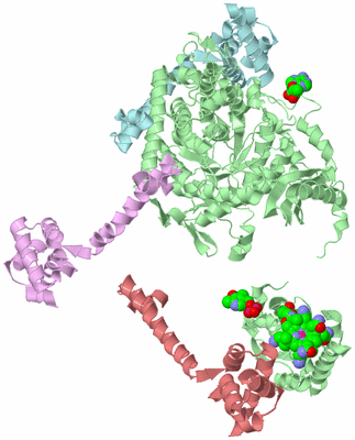 Image Biological Unit 2