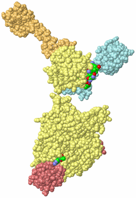 Image Biological Unit 3