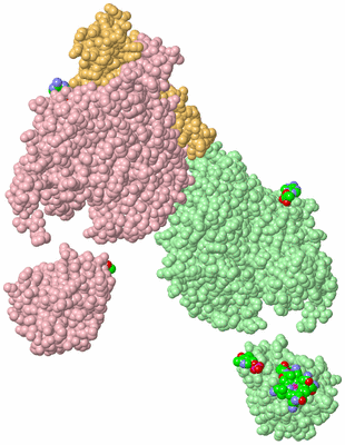 Image Biological Unit 4