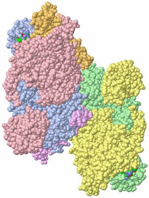 Image Biological Unit 5