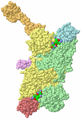 Image Biological Unit 6