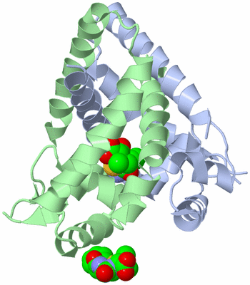 Image Asym./Biol. Unit