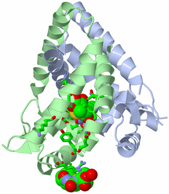 Image Asym./Biol. Unit - sites