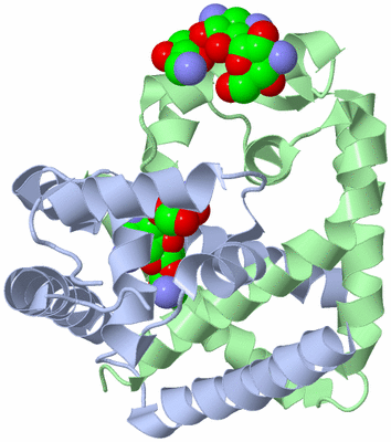 Image Asym./Biol. Unit