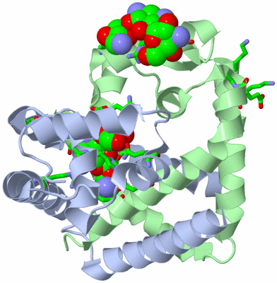 Image Asym./Biol. Unit - sites