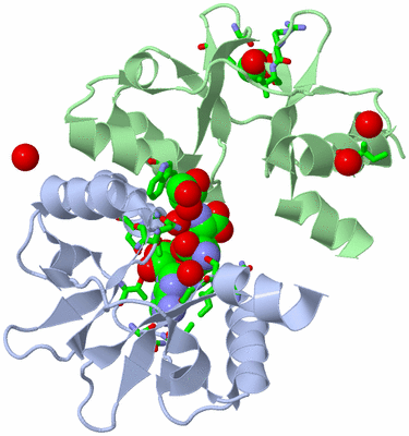 Image Biol. Unit 1 - sites