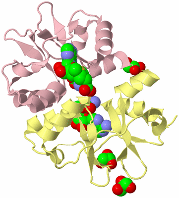 Image Biological Unit 2