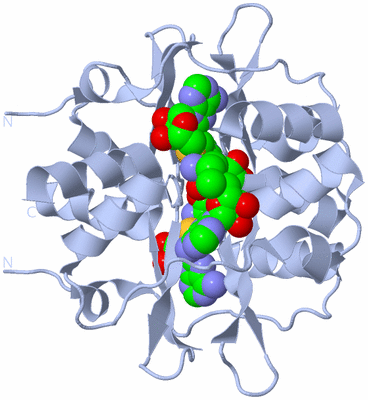 Image Biological Unit 1