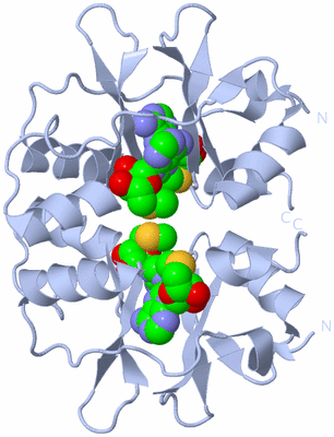 Image Biological Unit 1