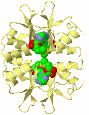 Image Biological Unit 3