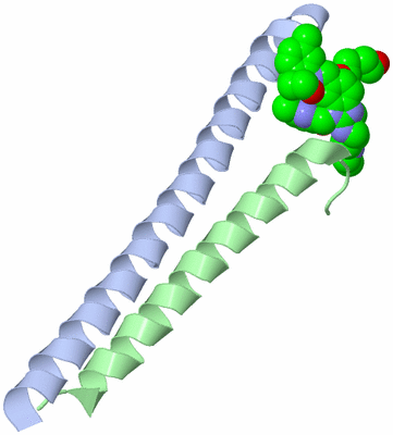 Image Asymmetric Unit