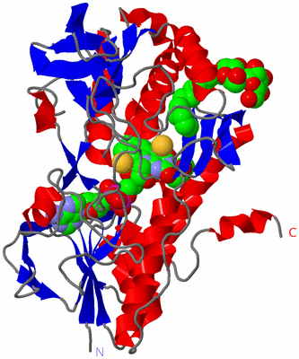 Image Asym./Biol. Unit