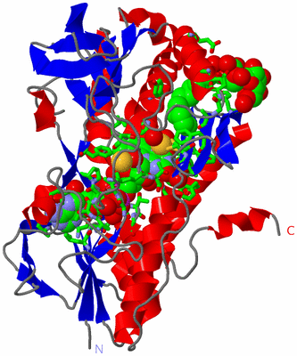 Image Asym./Biol. Unit - sites